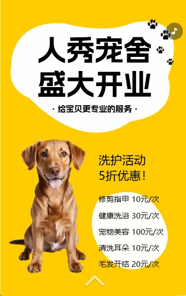 宠物店盛大开业