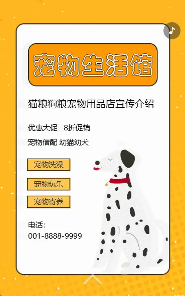 宠物店宣传促销