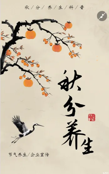 秋分养生节气宣传养生科普