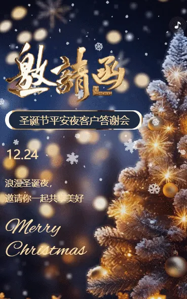 圣诞节平安夜企业会议商务会议邀请函