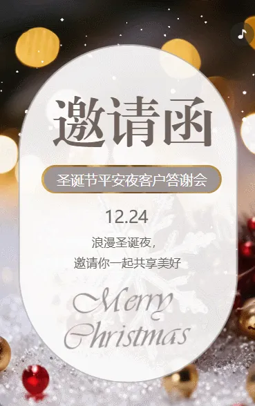 圣诞节平安夜企业会议商务会议邀请函