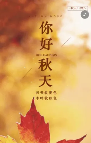 秋日心情你好秋天宣傳相冊(cè)