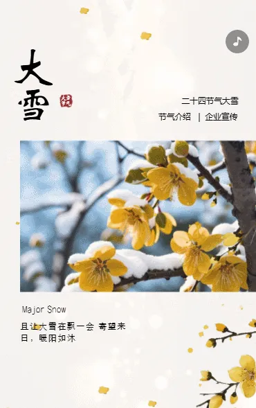 二十四节气大雪节气介绍企业宣传通知模板