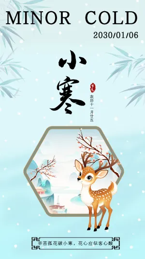 卡通小寒节气介绍企业宣传