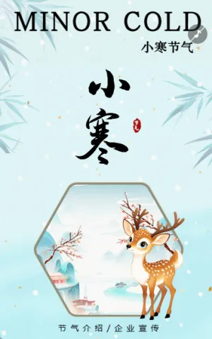 卡通小寒节气介绍企业宣传