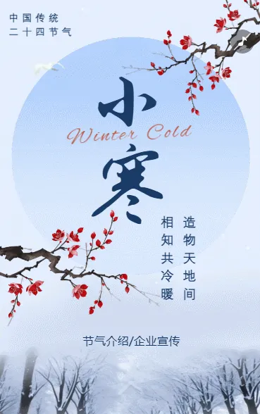 中国风小寒节气介绍企业宣传