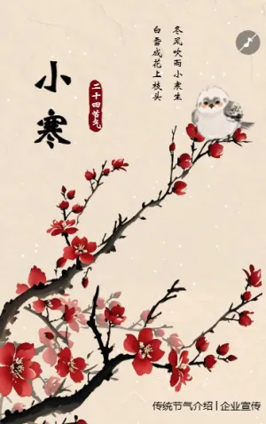 小寒传统节气介绍企业宣传