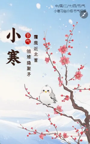 清新二十四节气小寒习俗介绍小寒节气企业宣传
