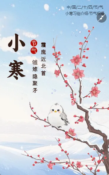 清新二十四节气小寒习俗介绍小寒节气企业宣传