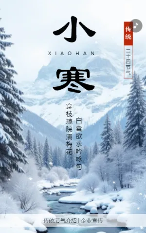 小寒节气企业祝福宣传简约