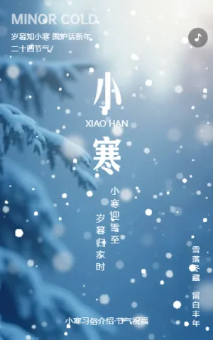 小寒节气企业祝福宣传简约