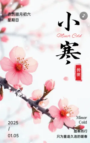 小寒传统节气介绍企业祝福宣传