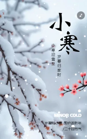 创意小寒二十四节气企业宣传