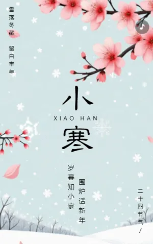 小寒节气企业祝福宣传简约