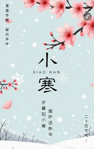 小寒节气企业祝福宣传简约