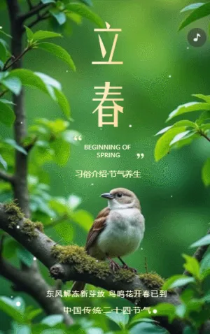 立春節(jié)氣介紹企業(yè)宣傳