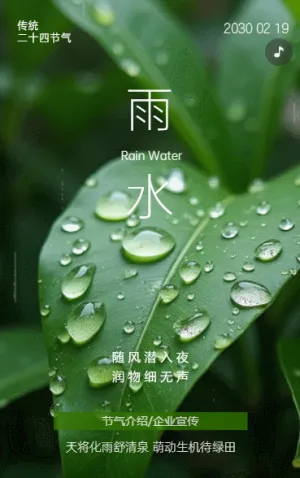 中国风雨水节气介绍企业宣传