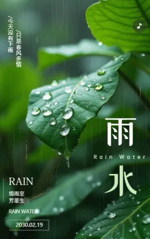 中国风二十四节气雨水节气介绍企业宣传