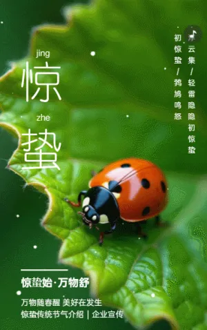清新驚蟄習(xí)俗介紹驚蟄節(jié)氣祝福