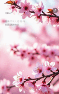 春分节气宣传祝福公司简介企业宣传