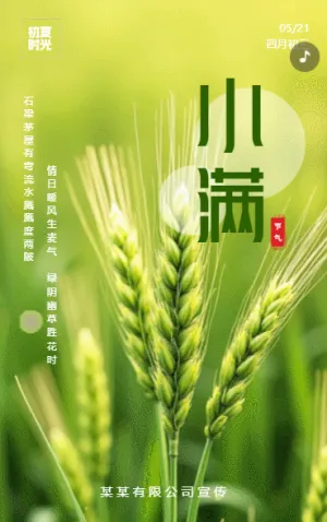 绿色简约二十四节气小满习俗养生企业宣传