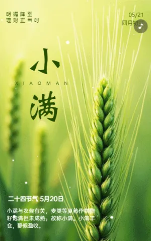 绿色二十四节气小满企业宣传