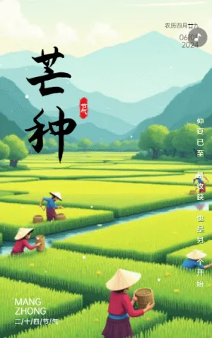 二十四节气芒种节气祝福贺卡节日宣传简约风