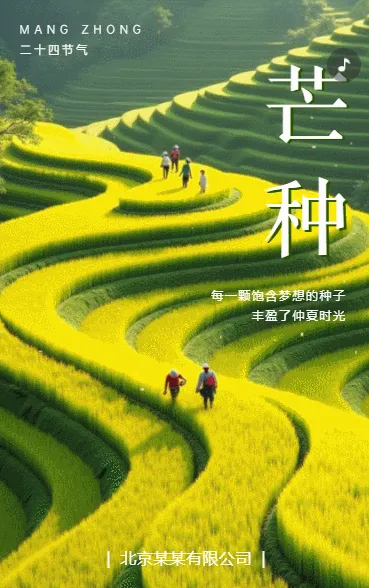 清新手绘芒种节气介绍节气祝福企业宣传