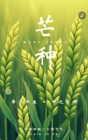 芒种养生知识宣传科普