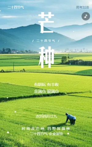 芒种企业宣传节日祝福