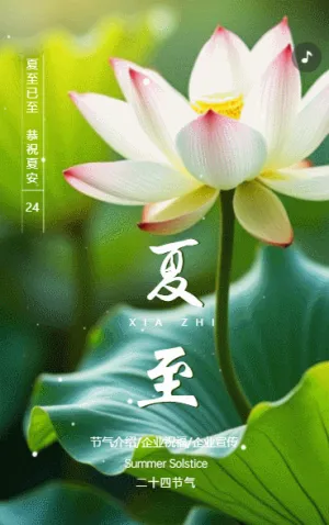正版清新24节气夏至企业祝福节气介绍企业宣传
