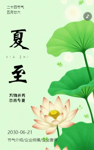 清新绿色风传统二十四节气之夏至