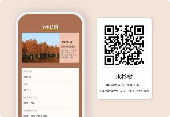 植物园-水杉介绍