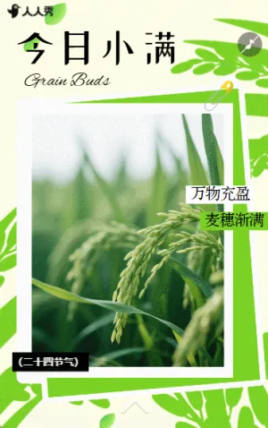 二十四节气小满节气祝福企业节气宣传
