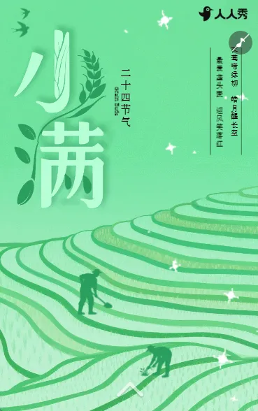 小满节气介绍公司祝福企业宣传