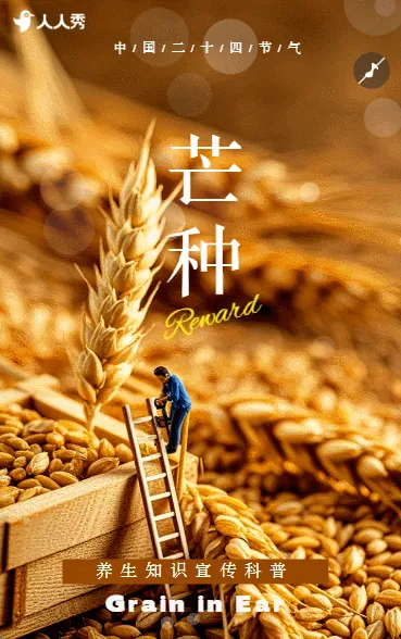 清新芒种节气介绍节气祝福企业宣传