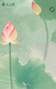 小暑节气祝福问候简约节气宣传