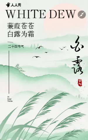 手绘插画白露节气介绍养生知识宣传科普