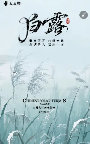 中国风白露节气养生指南知识科普