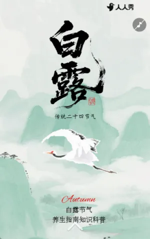 简约二十四节气白露节气养生指南知识科普