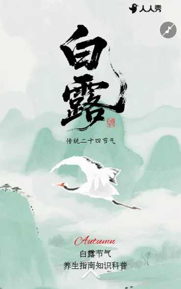简约二十四节气白露节气养生指南知识科普