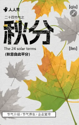 嚴(yán)選簡約中國風(fēng)24節(jié)氣秋分養(yǎng)生指南知識科普