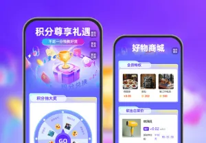 积分尊享礼遇，兑换高端定制好物   积分运营