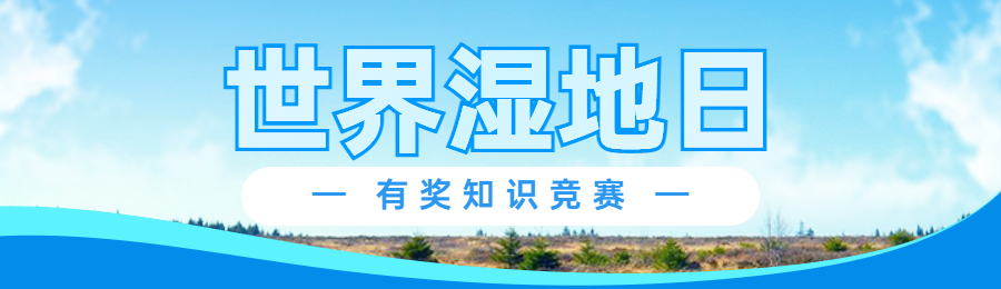 蓝色写实风格政府组织世界湿地日知识答题活动banner