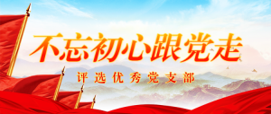 紅色大氣黨建風格優(yōu)秀黨支部評選投票活動banner