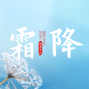 藍色寫實唯美風(fēng)格二十四節(jié)氣霜降公眾號次圖