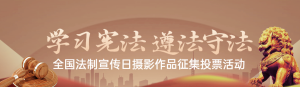 棕色扁平漸變風(fēng)格政府組織全國法制宣傳日投票活動banner