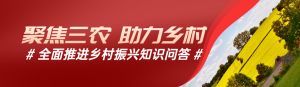 紅色寫實唯美風格政府組織全面推進鄉(xiāng)村振興知識答題活動banner