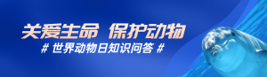 藍色寫實唯美風格政府組織世界動物日知識答題活動banner