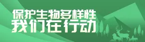 绿色扁平渐变风格政府组织生物多样性投票活动banner